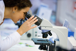 Researcher using a microscope